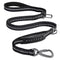 Multi-Attachment Dog Lead