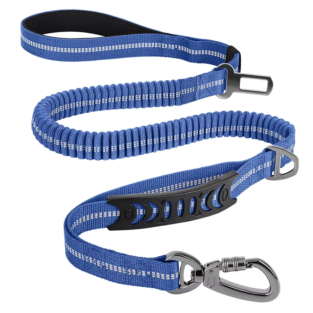 Multi-Attachment Dog Lead