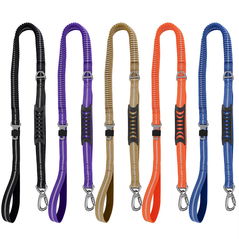 Multi-Attachment Dog Lead