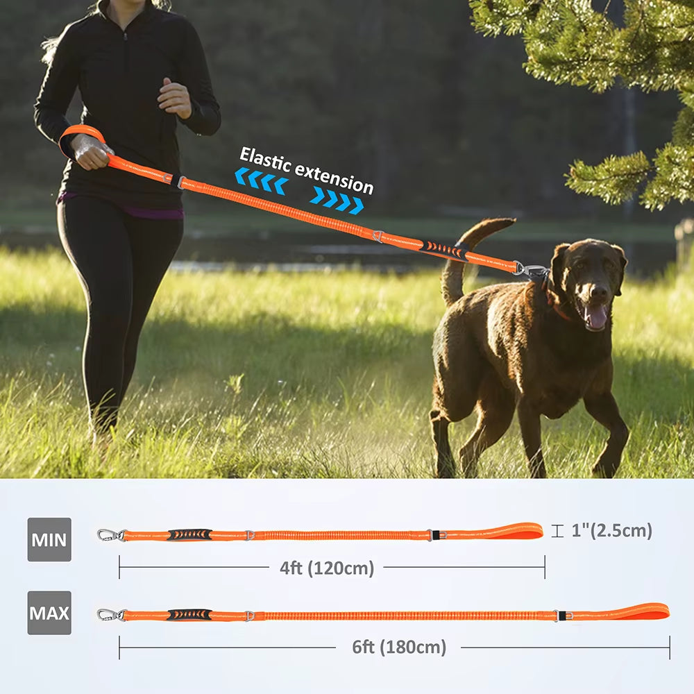 Multi-Attachment Dog Lead