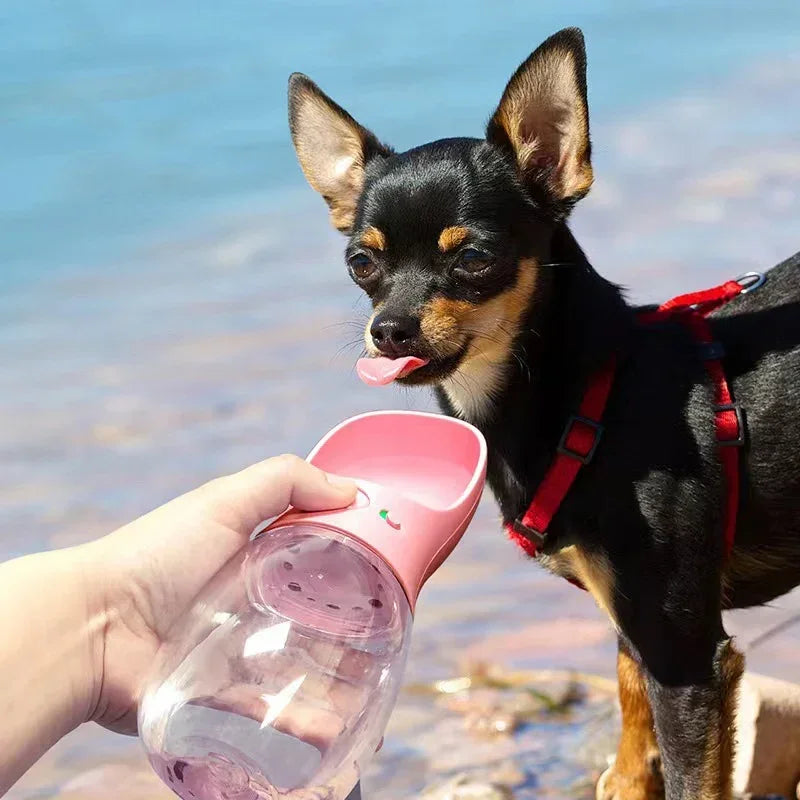 Portable Pet Water Bottle with Bowl – 350ml/550ml Travel Essentials