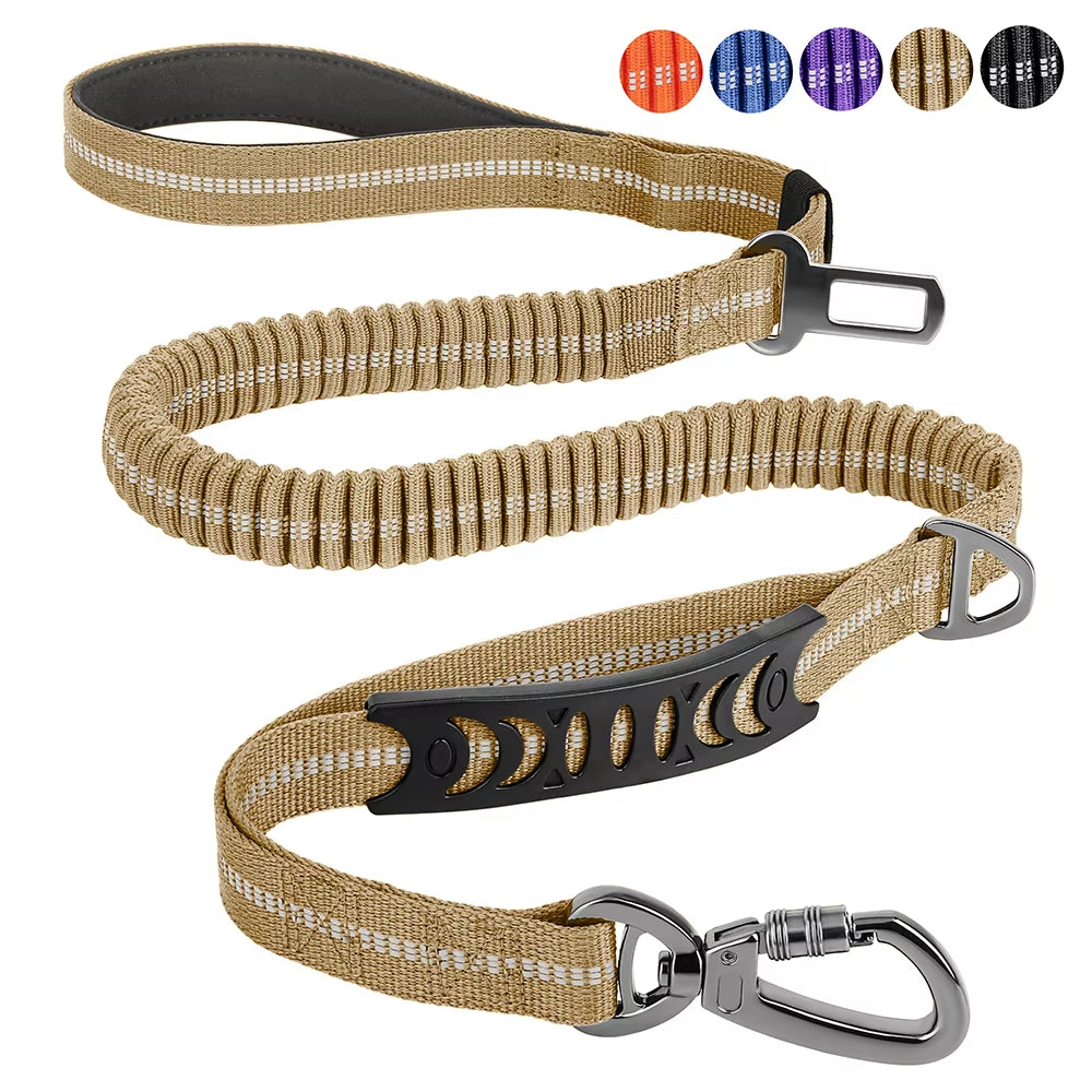 Multi-Attachment Dog Lead