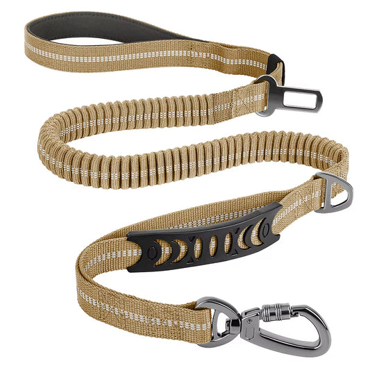 Multi-Attachment Dog Lead