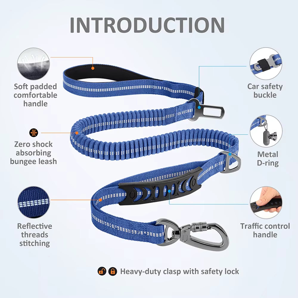 Multi-Attachment Dog Lead